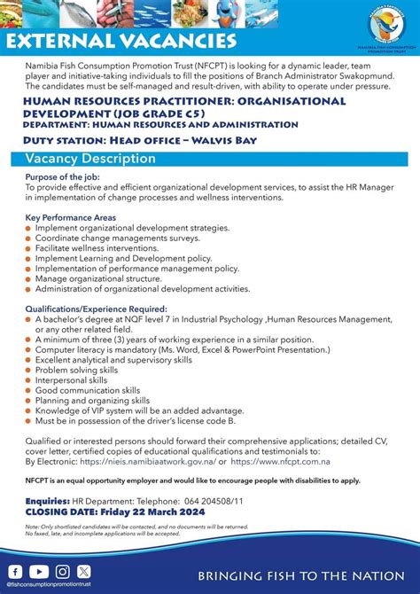 brmo vacancies 2024